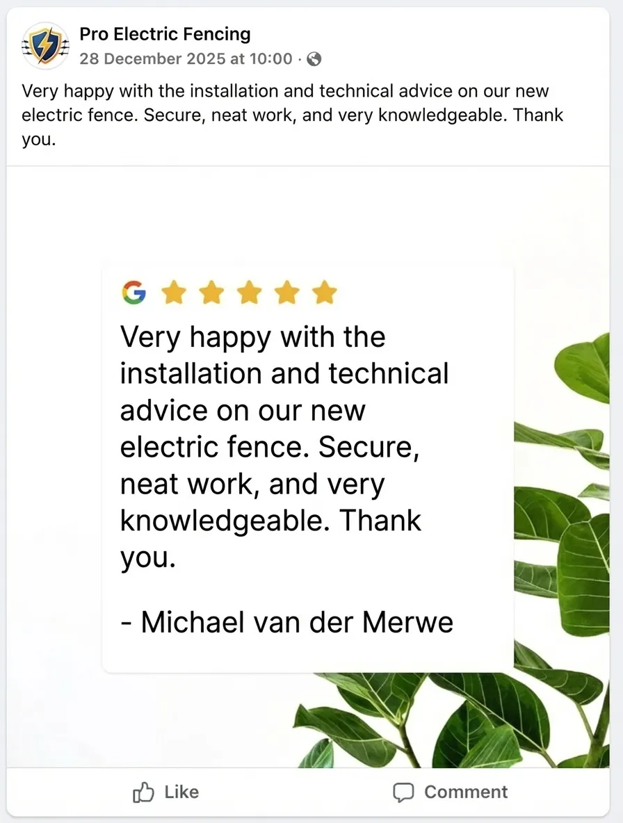 5-star Google review posted to Facebook as social proof