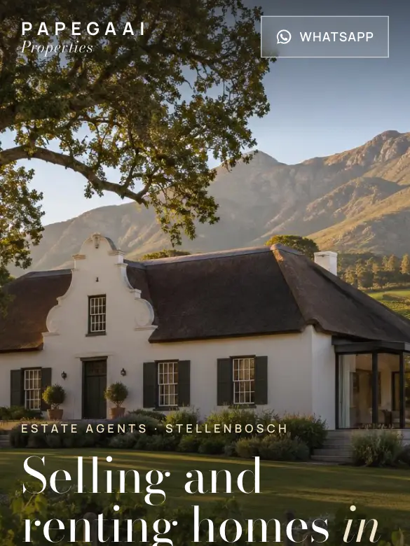 Example website design for Papegaai Properties, estate agents