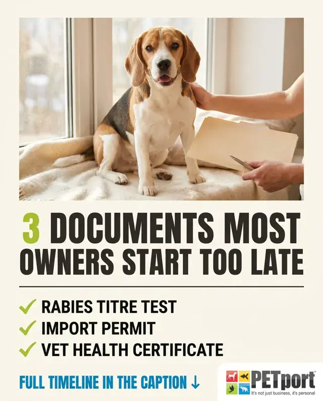 Post for PETport: Planning to relocate internationally with your fur-baby? The paperwork is just as important as the plane ticket — and so