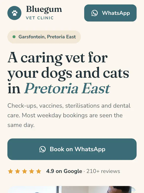 Example website design for Bluegum Vet Clinic, vet